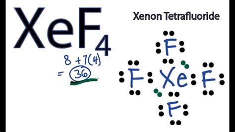 xef4 structure|How to Draw the Lewis Structure for XeF4 .
